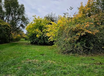 hungary/tatabanya/attraction/harmincevesek-parkja-1