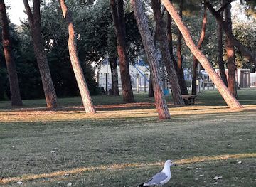 slovenia/littoral/attraction/coastal-walkway-grado-pineta