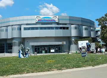 romania/constanta/attraction/aquarium-sea-lions