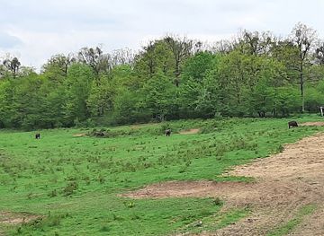 romania/dambovita/attraction/zimbraria-neagra