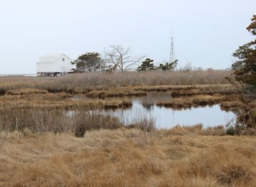 virginia/eastern-shore/attraction/parramore-island-natural-area-preserve