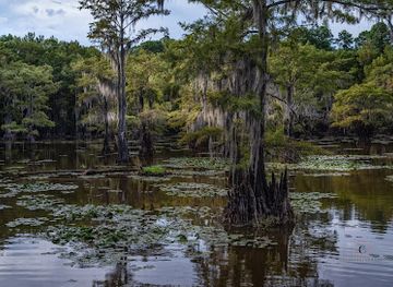 louisiana/caddo-lake-state-park/attraction/caddo-lake