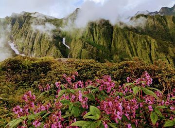 india/valley-of-flowers-national-park/attraction/chanap-valley-trek