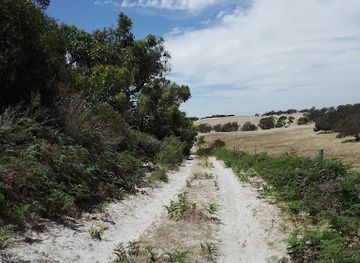 australia/limestone-coast/attraction/mount-scott-conservation-park