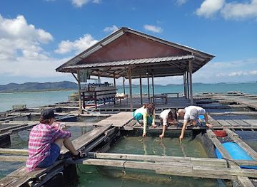 thailand/koh-yao-noi/attraction/bang-fik-ch-kra-chang-mangkon-farm-ko-yao-phang-nga