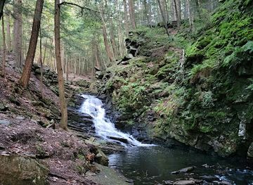 new-hampshire/monadnock-region/attraction/chesterfield-gorge-natural-area