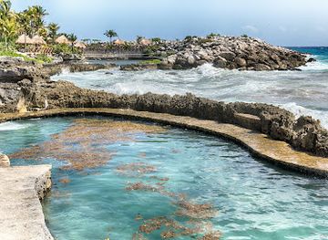 mexico/riviera-maya/attraction/delphinus-riviera-maya