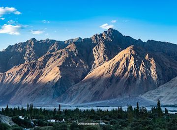 india/ladakh/attraction/nubra-valley