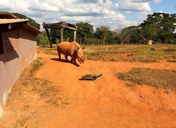 brazil/brasilia/attraction/zoologico