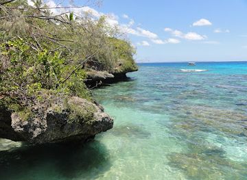 new-caledonia/ouvea-island/attraction/the-natural-aquarium-lifou