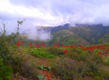 uzbekistan/kashkadarya-region/attraction/chuyanli