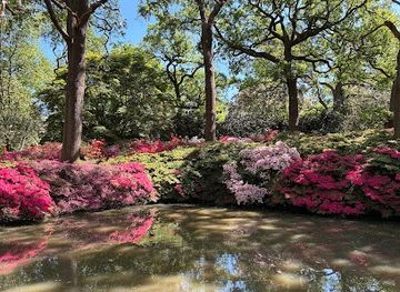 united-kingdom/london/attraction/richmond-park