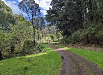 australia/yarra-valley/attraction/o-shannassy-aqueduct-trail