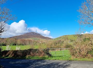 ireland/croagh-patrick/attraction/brackloon-woods