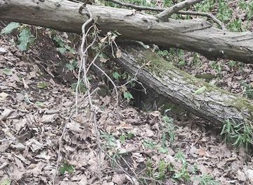 hungary/miskolc/attraction/zsomboly