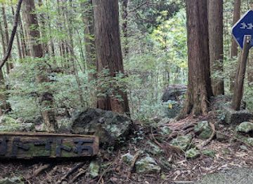 japan/shikoku-island/attraction/gotogotoishi