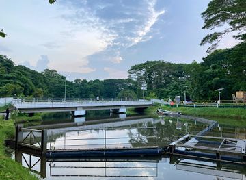 singapore/yishun/attraction/sungei-seletar