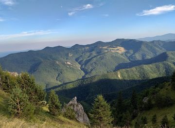 romania/vrancea/attraction/parcul-natural-putna-vrancea
