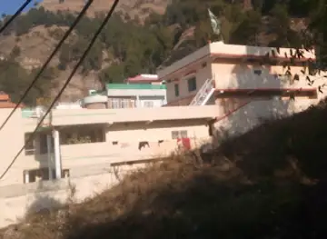 Munawar hussain tree