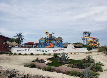 aruba/boca-catalina/attraction/sea-trek-underwater-helmet-walk-at-de-palm-island