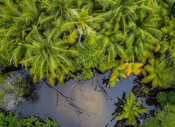 maldives/haa-dhaalu-atoll/attraction/filladhoo-kulhi