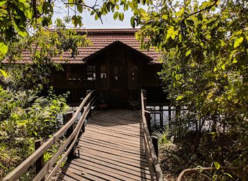 the-gambia/western-region/attraction/chimp-rehabilitation-center