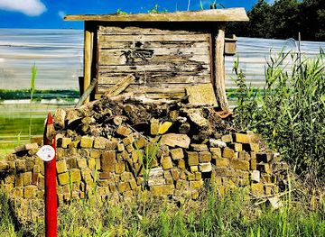 netherlands/texel-island/attraction/voedselbos-texel