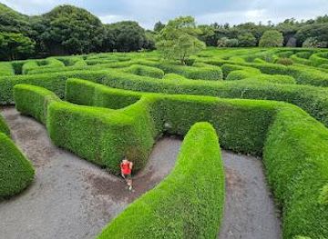 south-korea/jeju-city/attraction/maze-land