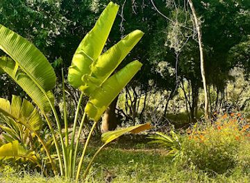 tanzania/zanzibar-archipelago/attraction/jozani-spice-farm