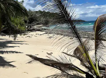 Anse Lascars Beach