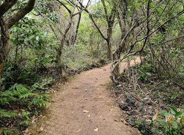 south-korea/jeju-city/attraction/gotjawal-provincial-park