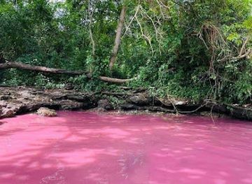 south-africa/wild-coast/attraction/isinuka-healing-springs