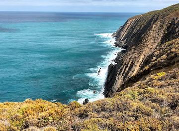 australia/fleurieu-peninsula/attraction/newland-head-conservation-park