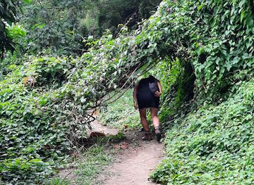 dominica/roseau/attraction/jack-s-walk-trail