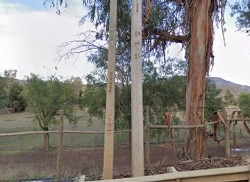 chile/rancagua/attraction/alpacas-machali