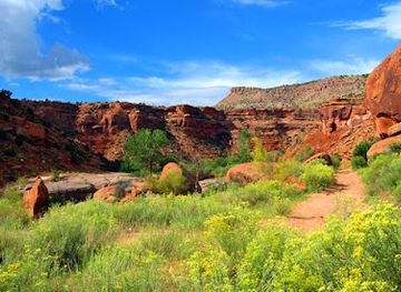 colorado/uncompahgre-plateau/attraction/dominguez-escalante-national-conservation-area