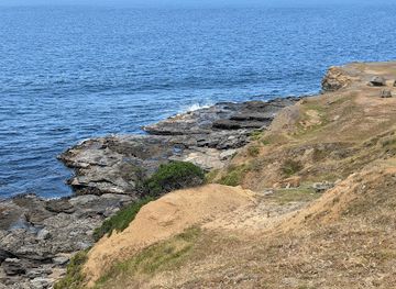 australia/yorke-peninsula/attraction/south-australian-museum