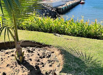 mexico/puerto-vallarta/attraction/cruise-port