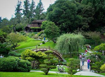 california/colorado-desert/attraction/the-huntington-library-art-museum-and-botanical-gardens