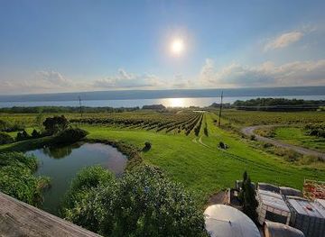 new-york/ithaca/attraction/chateau-lafayette-reneau