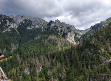 poland/tatra-mountains/attraction/jaskinia-mylna