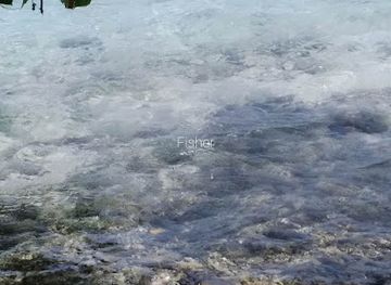 maldives/thinadhoo-island/attraction/hutteykodaa