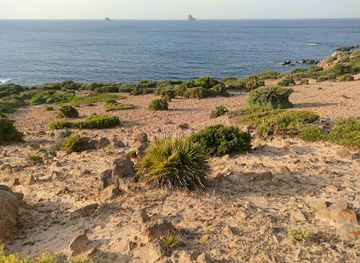 tunisia/southern-tunisia/attraction/el-gleaa