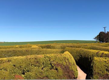 australia/barossa-valley/attraction/mintaro-maze