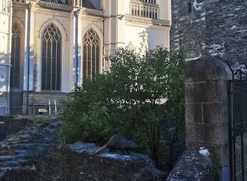 france/nantes/attraction/un-castor-sur-un-mur
