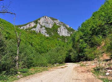 romania/hunedoara/attraction/cascadele-sipotului