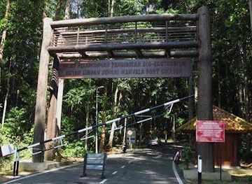 malaysia/klang-valley/attraction/pd-forest-sg-menyala