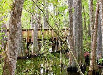 florida/fort-lauderdale-beach/attraction/everglades-day-safari-fort-lauderdale