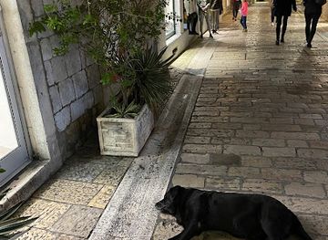 montenegro/kotor-bay/attraction/dog-garo