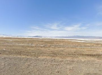 kazakhstan/kolsai-lakes/attraction/yellow-field